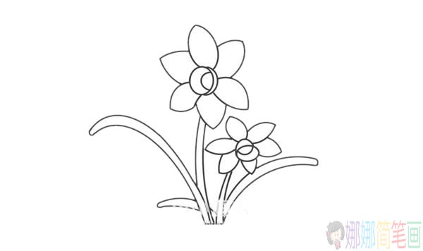 水仙草简笔画图片,水仙草简笔画步骤图