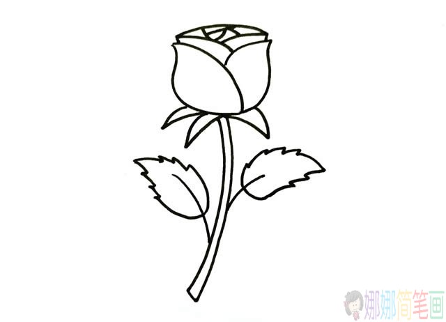 玫瑰花简笔画步骤图片,玫瑰花简笔画简单漂亮