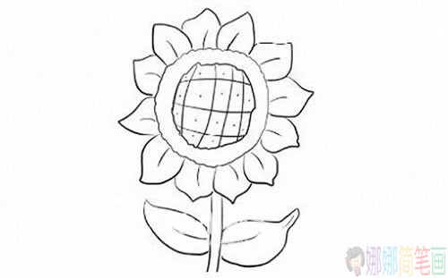 向日葵简笔画步骤,向日葵简笔画图片大全