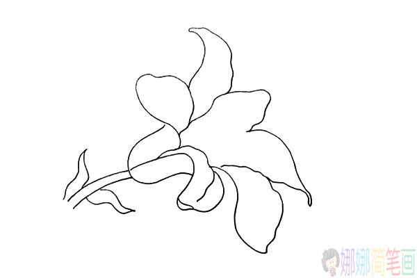 百合花儿童简笔画图片教程