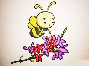 蜜蜂简笔画教程图，蜜蜂简笔画画法教程