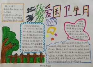 爱国卫生月手抄报内容，爱国卫生月手抄报作品赏析