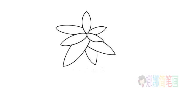 发财树简笔画画法,发财树简笔画步骤图片