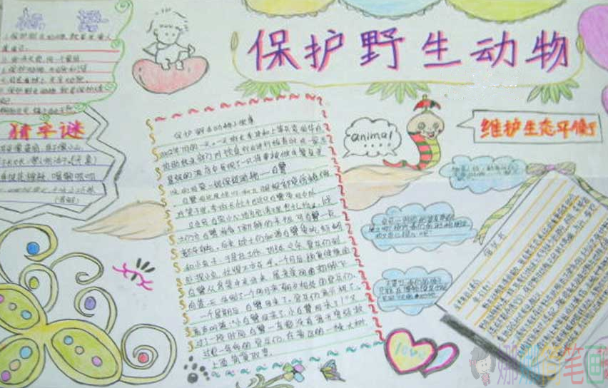 关于保护濒危动物的手抄报,保护野生动物手抄报作品图片大全
