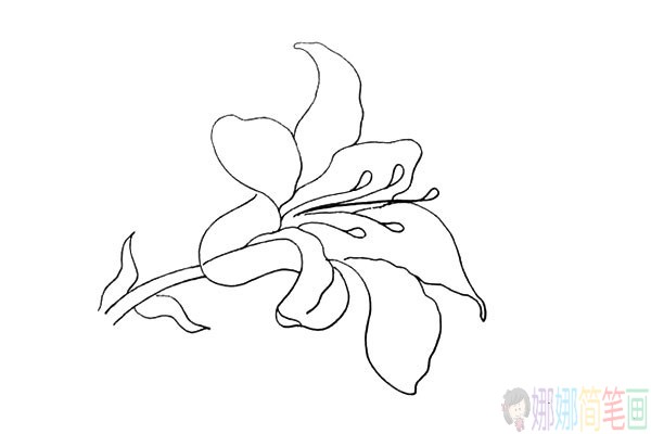 百合花儿童简笔画图片教程
