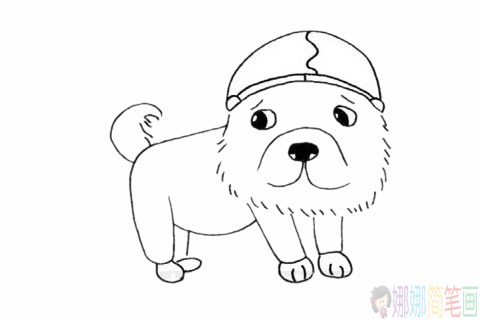 松狮犬简笔画,松狮犬简笔画画法步骤画法教程