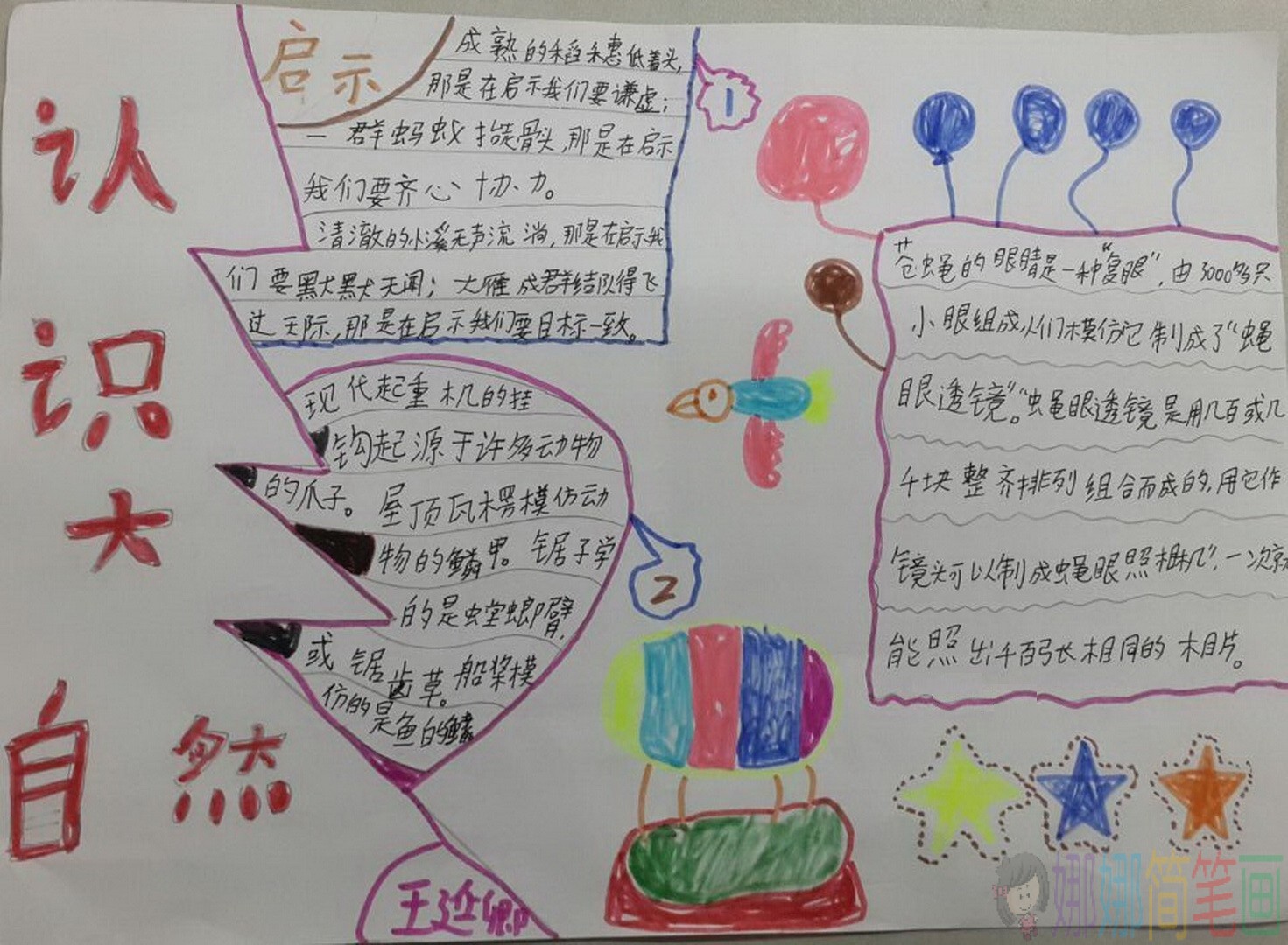 大自然手抄报,美丽的大自然主题的手抄报作品鉴赏