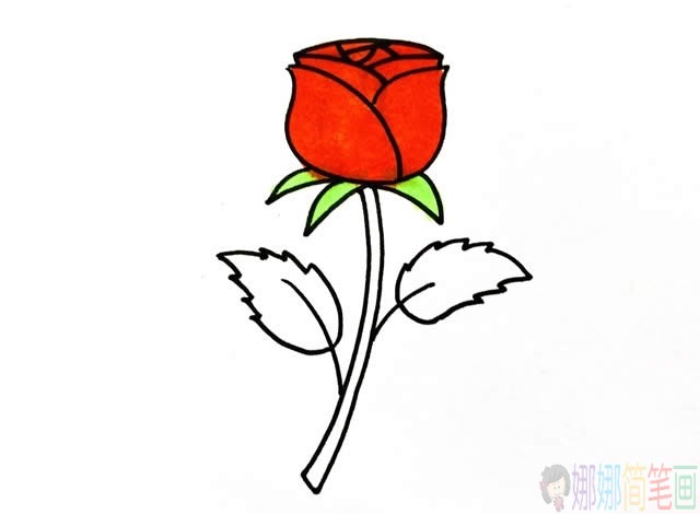 玫瑰花简笔画步骤图片,玫瑰花简笔画简单漂亮