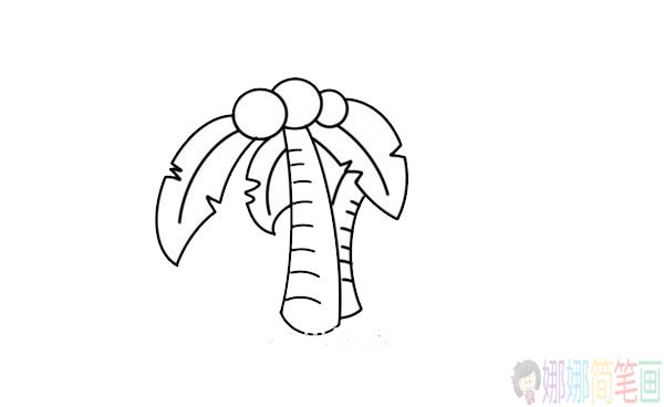 椰子树简笔画画法,椰子树简笔画步骤