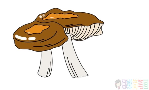 密环菌简笔画的画法步骤图解教程