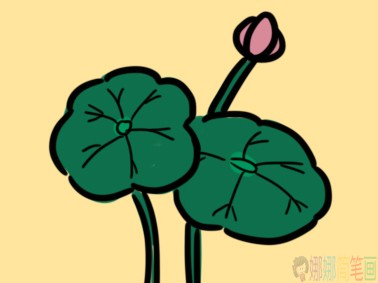 河边的莲花小学生简笔画要怎么画