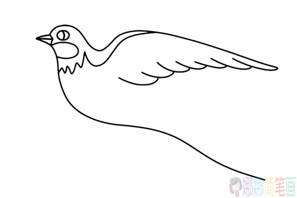 漂亮的小燕子简笔画步骤,小燕子简笔画图片
