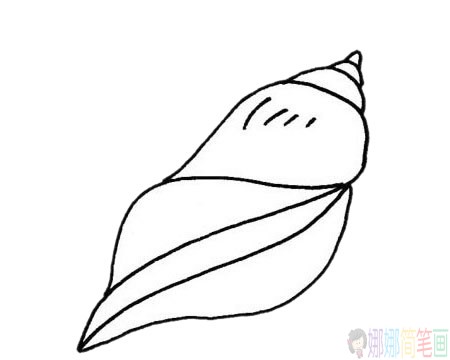 海螺贝壳简笔画步骤,海螺贝壳简笔画图片大全
