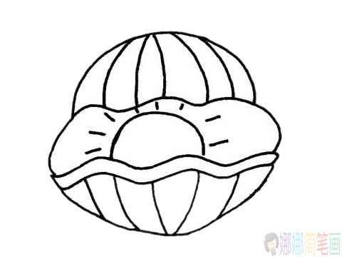 海螺贝壳简笔画步骤,海螺贝壳简笔画图片大全