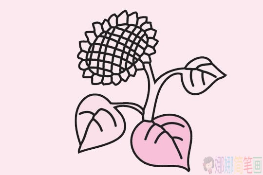 向日葵简笔画画法,向日葵简笔画步骤大全