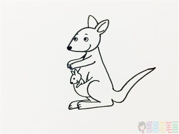 袋鼠简笔画步骤教程，袋鼠简笔画画法教程