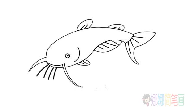 鲶鱼简笔画步骤,鲶鱼简笔画图片