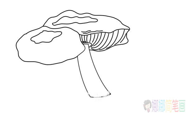 密环菌简笔画的画法步骤图解教程