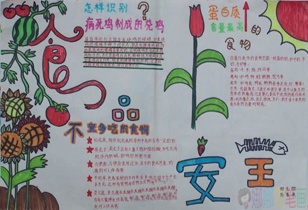 拒绝垃圾食品手抄报图片内容,食品安全手抄报