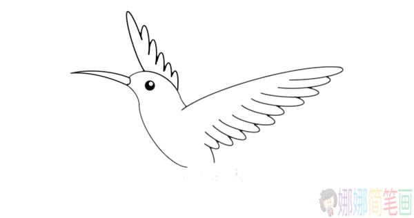 蜂鸟简笔画步骤,蜂鸟简笔画图片大全