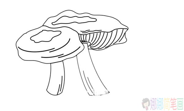 密环菌简笔画的画法步骤图解教程