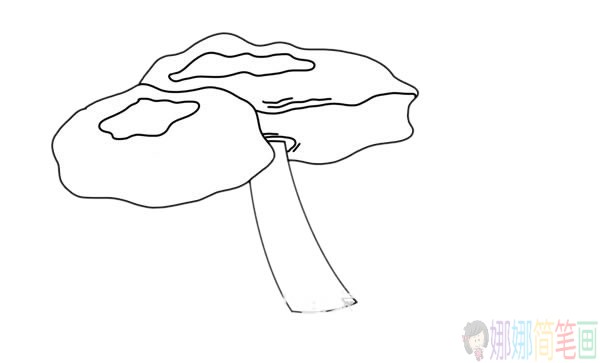 密环菌简笔画的画法步骤图解教程