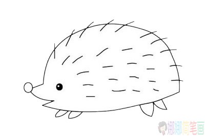 刺猬简笔画步骤,刺猬简笔画图片大全