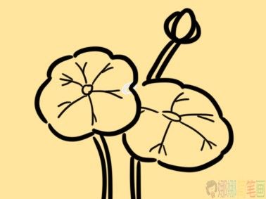 河边的莲花小学生简笔画要怎么画