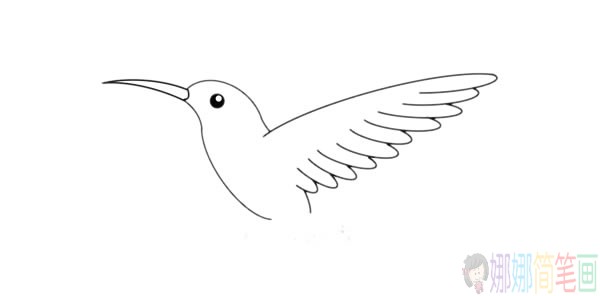 蜂鸟简笔画步骤,蜂鸟简笔画图片大全