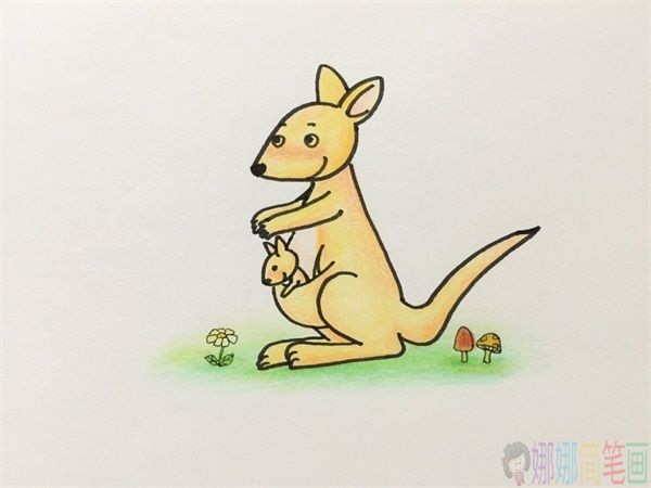 袋鼠简笔画步骤教程，袋鼠简笔画画法教程