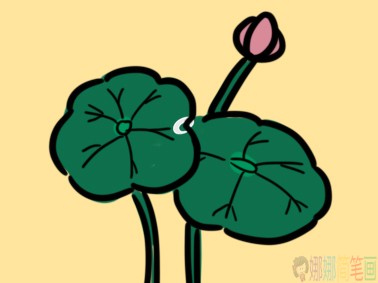 河边的莲花小学生简笔画要怎么画
