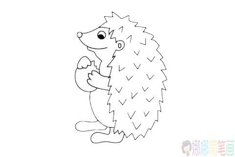 刺猬简笔画步骤,刺猬简笔画图片大全