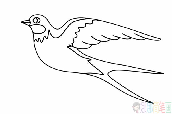 漂亮的小燕子简笔画步骤,小燕子简笔画图片
