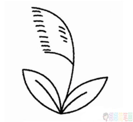 芦苇彩色简笔画图片