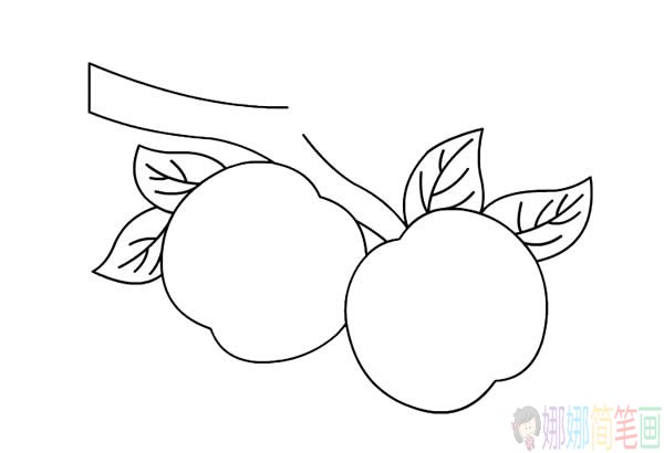 树枝上的桃子简笔画彩色,树枝上的桃子简笔画步骤