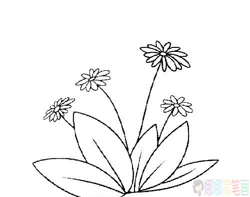 菊花简笔画线稿组图