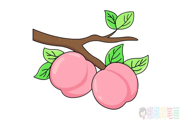 树枝上的桃子简笔画彩色,树枝上的桃子简笔画步骤