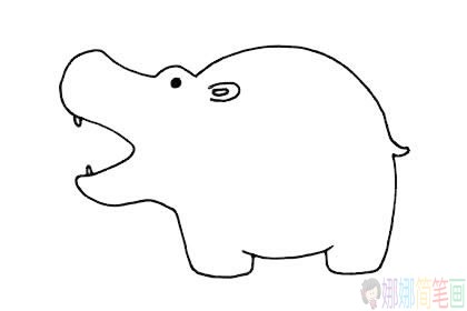 卡通河马简笔画,河马简笔画图片