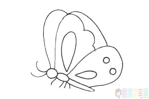卡通蝴蝶简笔画步骤,蝴蝶简笔画图片大全