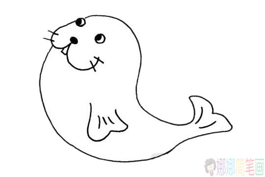 简单的海豹简笔画步骤,海豹简笔画图片大全