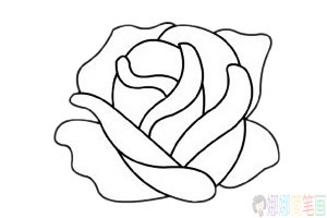 玫瑰花简笔画分步骤画法