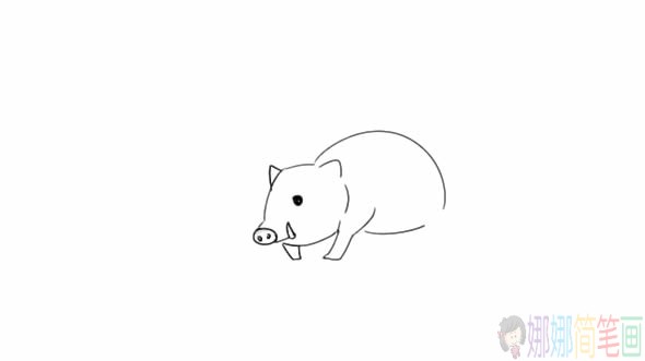 豪猪简笔画怎么画,带刺豪猪简笔画步骤手绘教程