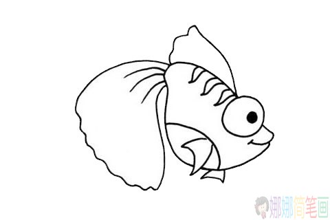 卡通金鱼简笔画步骤,金鱼简笔画图片大全