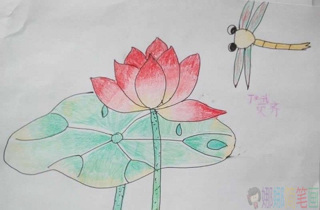 池塘里的荷花儿童画范画