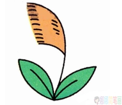 芦苇彩色简笔画图片