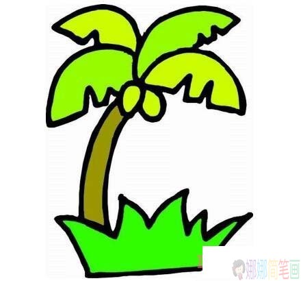 椰子树怎么画,椰子树的简笔画步骤