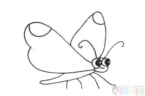 卡通蝴蝶简笔画步骤,蝴蝶简笔画图片大全