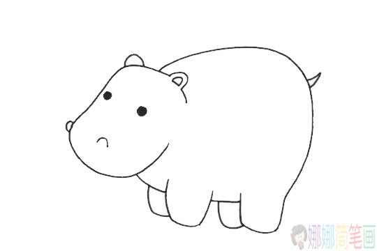 河马简笔画步骤,河马简笔画图片大全