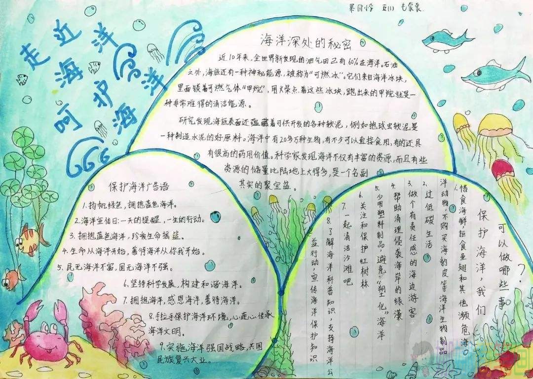 保护海洋手抄报图片大全