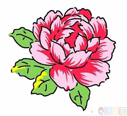 简笔画图片牡丹花